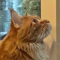 Frak Tastic (@frak_tastic) 's Twitter Profile