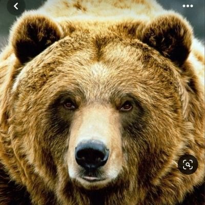 Oscillator75's profile picture. sprinterjms Senior daytrader who loves big fights between bulls and bears
however,  there is more interesting in life than trading stock markets.