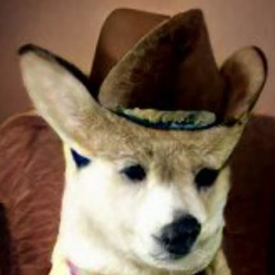 Digital Art & Music,Weather, Nature, Animals, Horses🐴
Kernow Bys Vyken!
#Doge #Dogecoin 🙏#RIPCheems ❤️
https://t.co/VRjrTrqZpA
DAPwgzng69MD1tr4Rn6895grBMwv35A6LG