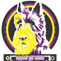 Ballston Spa CSD CR & PS(@BSCSD_CRPS) 's Twitter Profile Photo