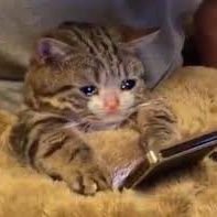 bingsam_03's profile picture. 환골탈태가 목표인 삼수생