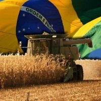 Agro Do Brasil Oficial 🇧🇷(@AgroBrasil22) 's Twitter Profile Photo