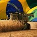 Agro Do Brasil Oficial 🇧🇷 (@AgroBrasil22) Twitter profile photo