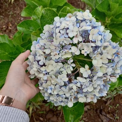 tnxkerbelle's profile picture. 