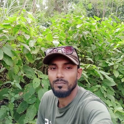 amidujjama's profile picture. polytics