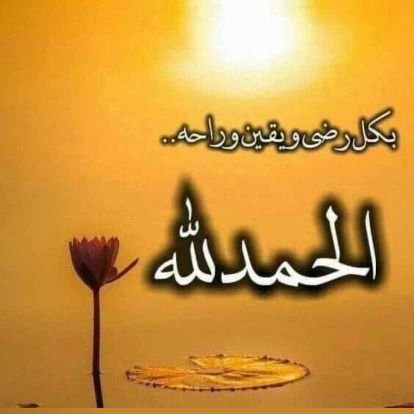 نوال هادي