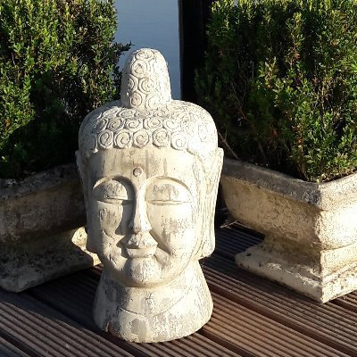 HetWolvennest's profile picture. Adviseur, mentor en eigenaar Sharing Know How platform