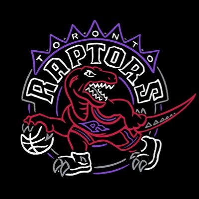 Raptors and Steph Curry Fan