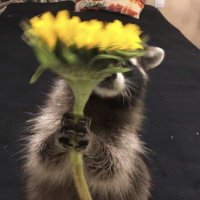 üzülüorm (@gulemiyorum123) Twitter profile photo