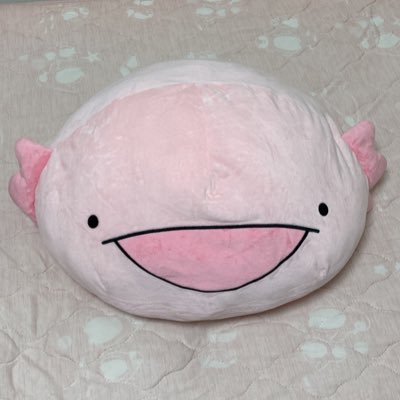 でぃぐさんのプロフィール画像