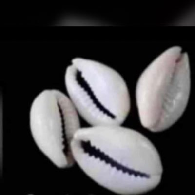 Francis71186703's profile picture. 