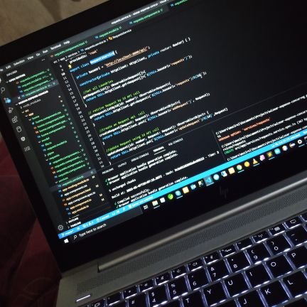 Software developer, Web Developer, Trainer, Tutor, Blogger