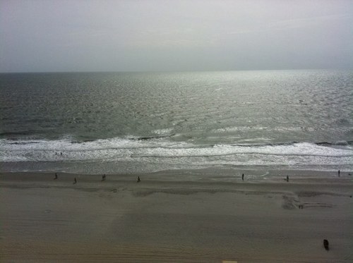 trumpeyk's profile picture. 