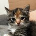 Sam (@tammi1877) Twitter profile photo Sam (@tammi1877) Twitter profile photo