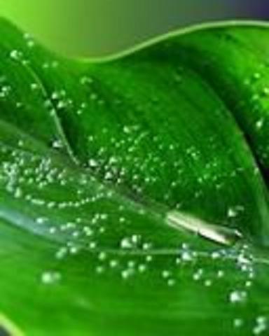 Yêu thương cuộc sống