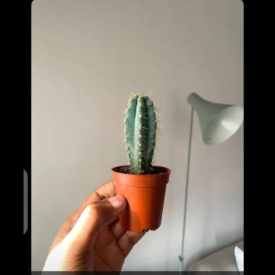 ifzzz_'s profile picture. 