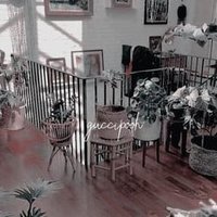 s.g 💫✨ (@solataprety511) 's Twitter Profile