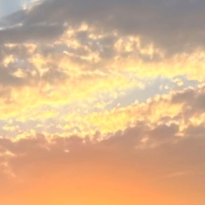 Terry040's profile picture. 