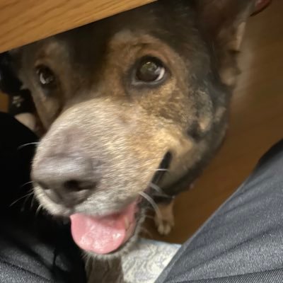 _RENA_1109's profile picture. 