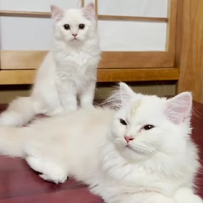 boon7948964's profile picture. 