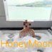 Honey~Moon🌙🌙 (@honeyhoneymoon5) Twitter profile photo Honey~Moon🌙🌙 (@honeyhoneymoon5) Twitter profile photo