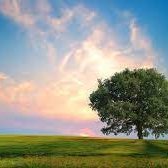 Lynn85710867's profile picture. ETH ETH!!!!