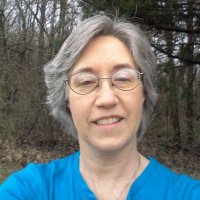 Ann Stang (@annstangauthor) 's Twitter Profile