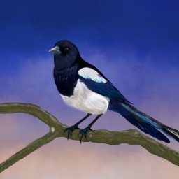 帰宅部世界記録保持者さんのプロフィール画像