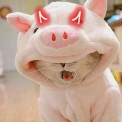 MissS04422's profile picture. Hello 👋