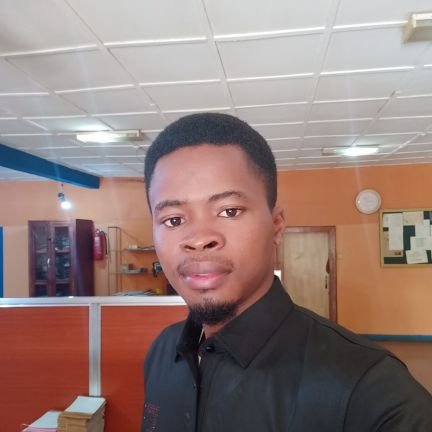 A 2D Animator. Contact me for your animations, video advert and video editing using Adobe premiere, after effects and cap cut
