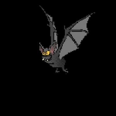 batsoupbadsoup's profile picture. Never that good