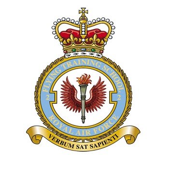 The Royal Air Force Air Cadets (RAFAC) is a voluntary military youth organization sponsored by the Royal Air Force. It is open to all young people aged 12 to 17