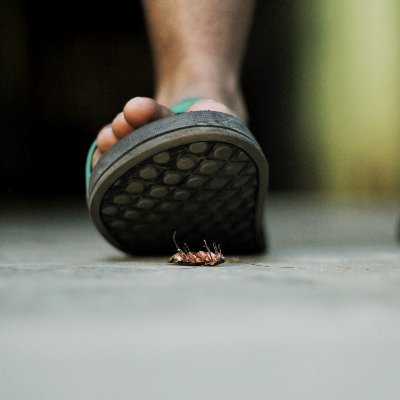 LStomped's profile picture. 