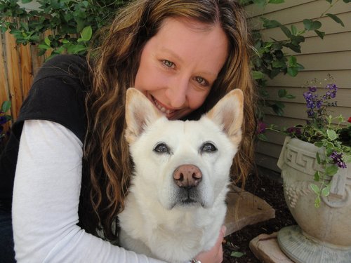 Taking care of your pet is our priority! We offer dog
walking & pet sitting services in the Denver metro area.
http://t.co/97yuK7sCoM