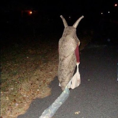 Crownn1805's profile picture. 