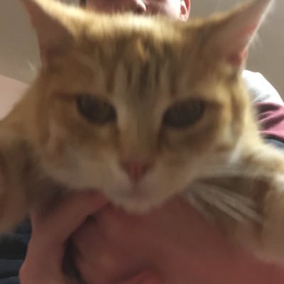 Marg0099's profile picture. 