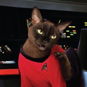 ⚠️ Surviving Red Shirt from #Pawfleet
Special Ops in the #CATarmy
pronouns Cat/Feline/Purrody
Been known to dabble in Mental Health Advocacy
#believer