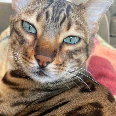 Kat98789's profile picture. 