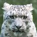Cinqscories 😼 (@cinqscories) Twitter profile photo Cinqscories 😼 (@cinqscories) Twitter profile photo