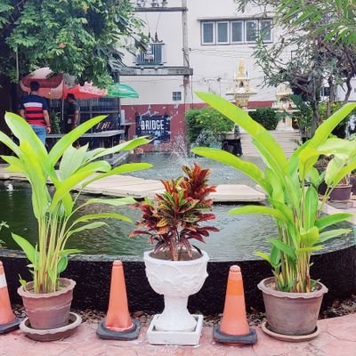 ramzanali38's profile picture. 