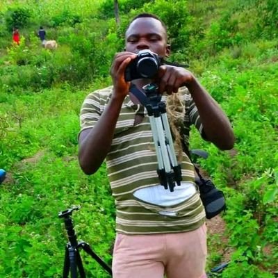 AGOLLAENTANGLE1's profile picture. 