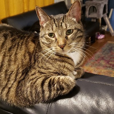 MandiPantsRants's profile picture. 