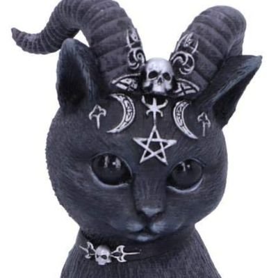 galavitx's profile picture. Orita no joven, sólo ando viendo 😌