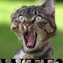 casey vassallo - @kc9173 - Twitter