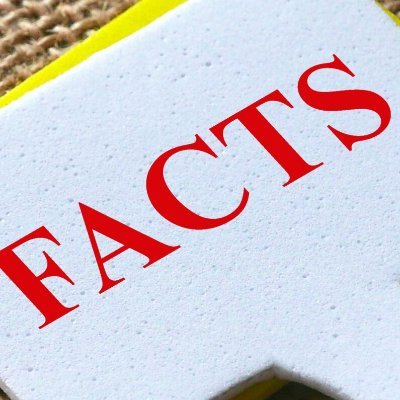 Self-Made Fact Checker