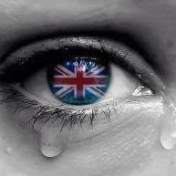 BDHEleven11's profile picture. 