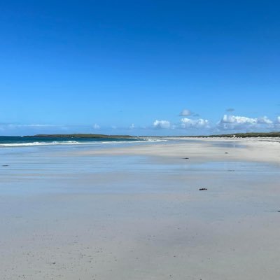 KatrinaKatieKat's profile picture. She/her. Loves - my nearest & dearest, tea, books, music, poetry, nature and all sorts of other shizz. Frequent user of profanity. Views are my own.