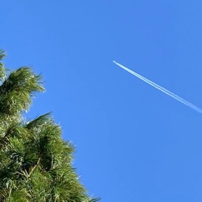 Topcat42834131's profile picture. Critical thinker, peace, love and XRP