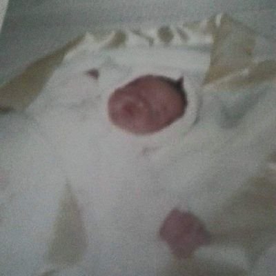 micsledge's profile picture. 