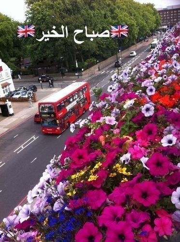 ‏‏‏‏أعـوذ بالله ألف مـرة مـن يـوم لااجـد فيـه ❤️أبـي ❤️ومـن يـومٍ لااسمـع فيه صوتـه...